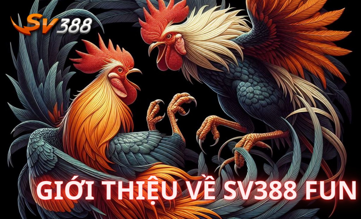 Giới thiệu về SV388 Fun